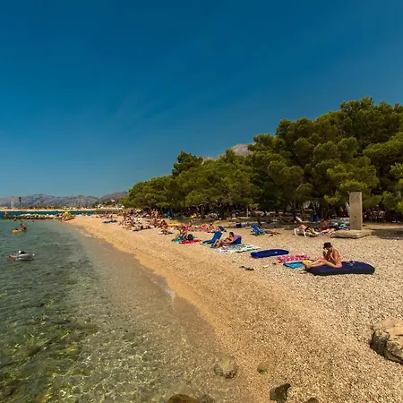 Zloic In Appartement *